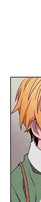 44246