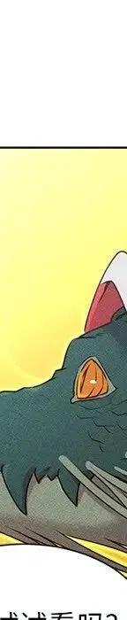 44293