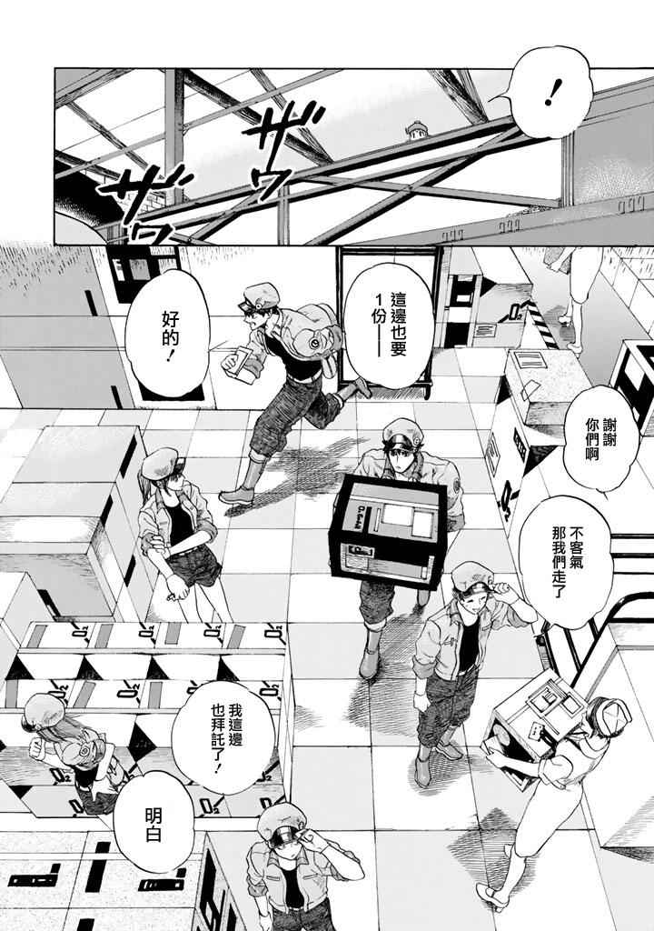 第7话 有核红细胞和骨髓细胞10