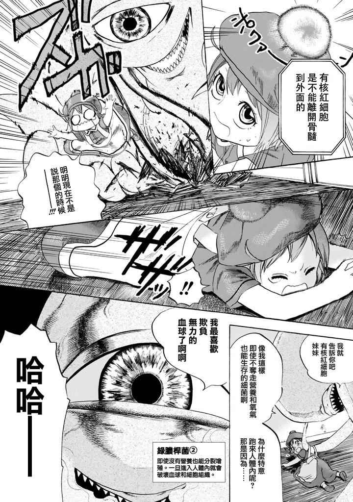 第7话 有核红细胞和骨髓细胞14