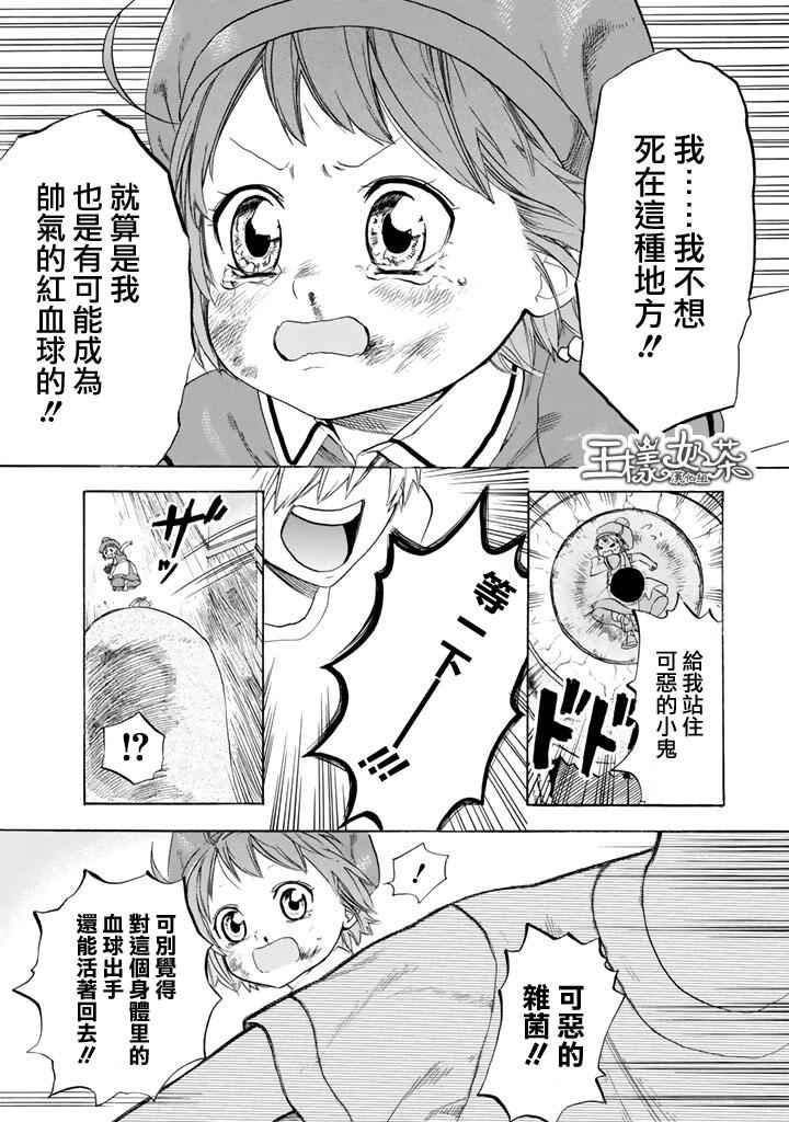 第7话 有核红细胞和骨髓细胞17