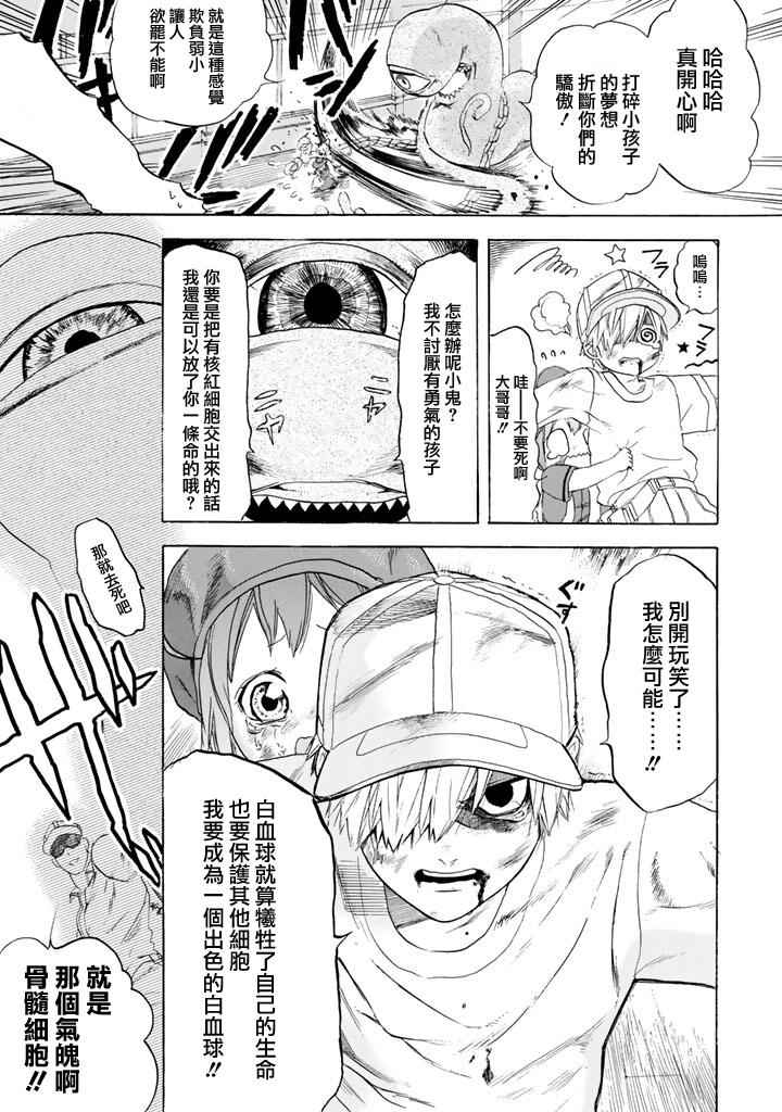 第7话 有核红细胞和骨髓细胞21