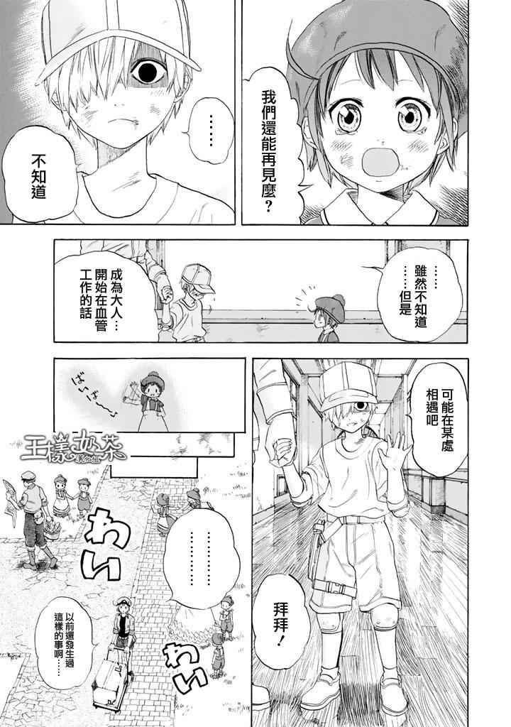 第7话 有核红细胞和骨髓细胞25