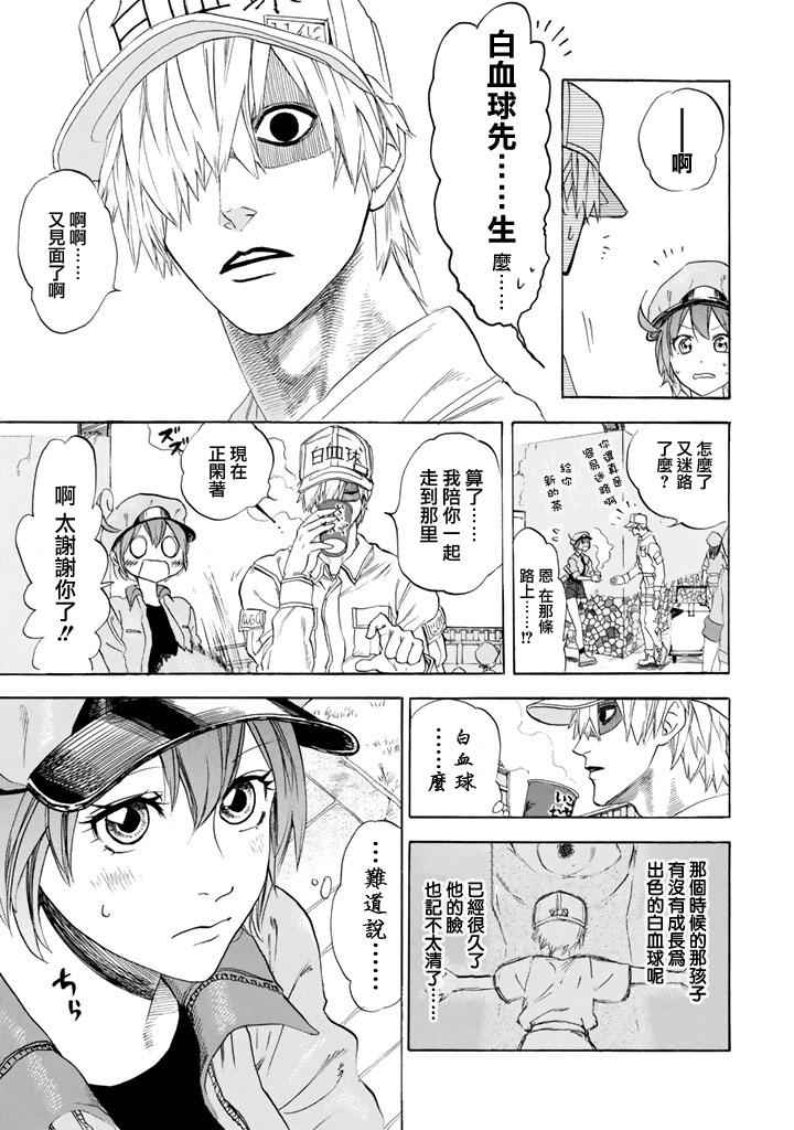 第7话 有核红细胞和骨髓细胞27