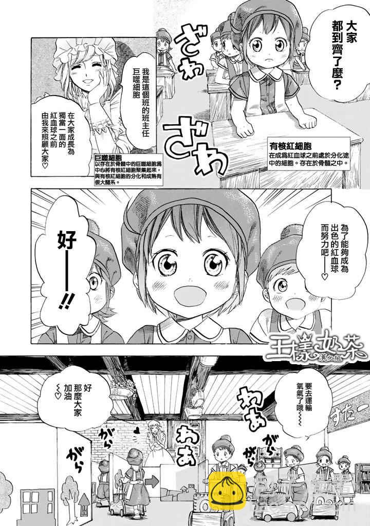 第7话 有核红细胞和骨髓细胞4