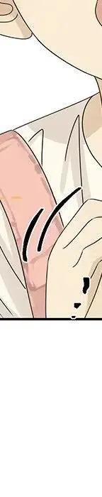 53173