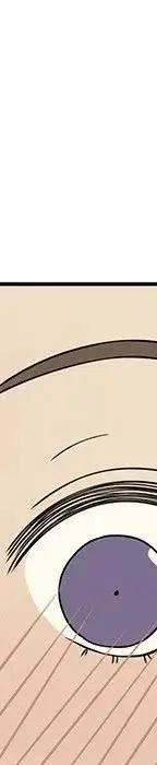 54205