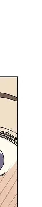 54206