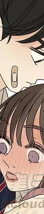 54444