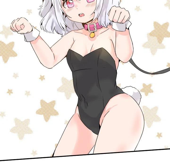 23117