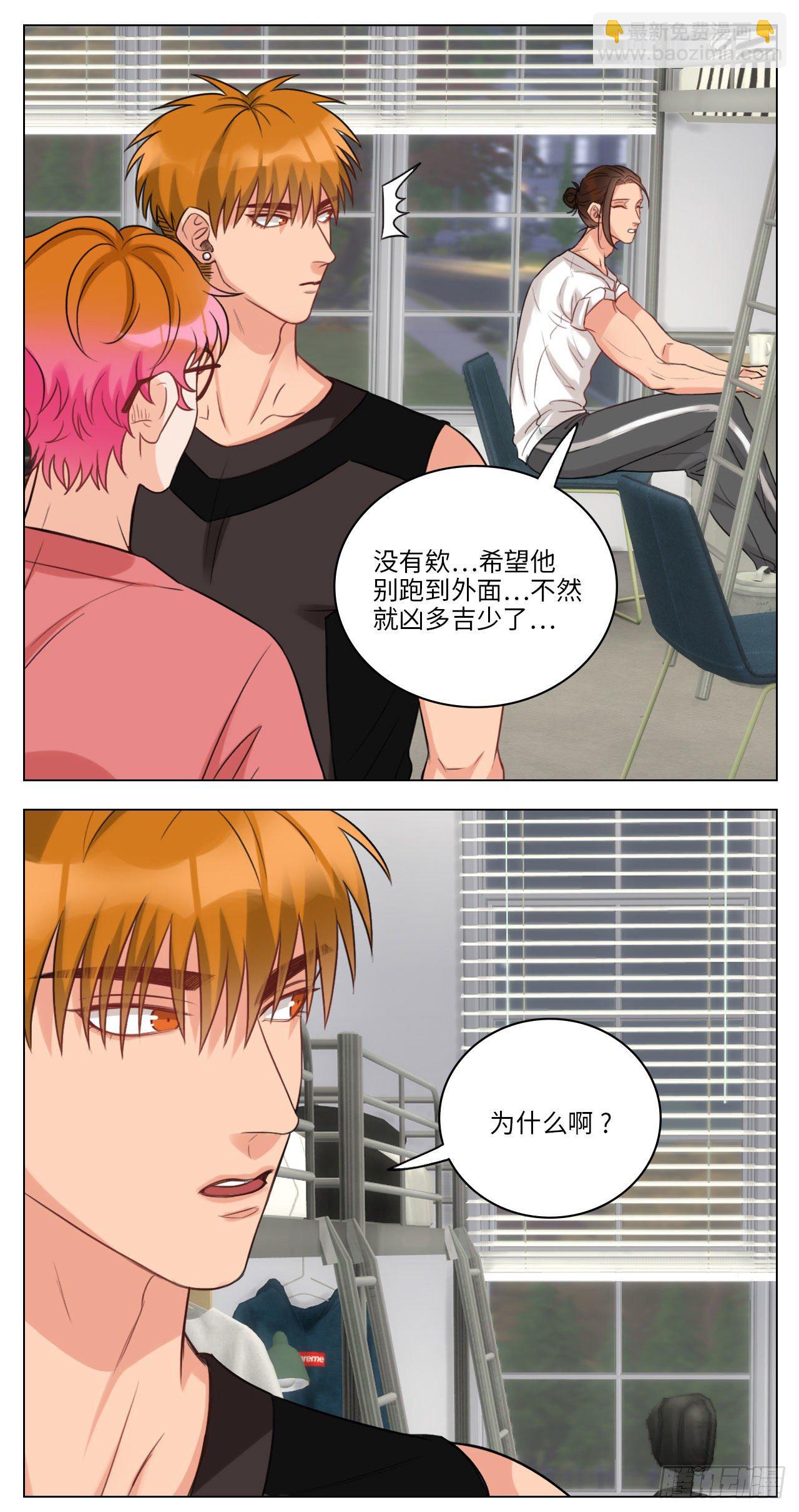 猫奴1
