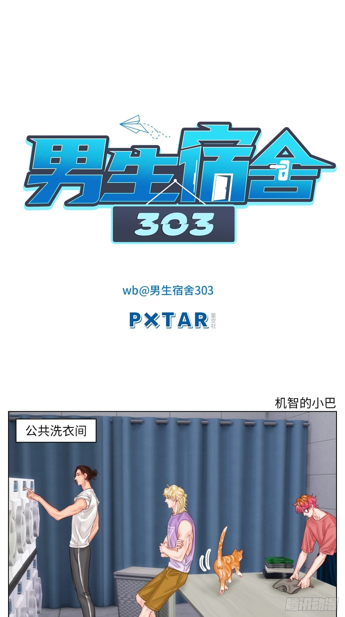 机智的小巴0