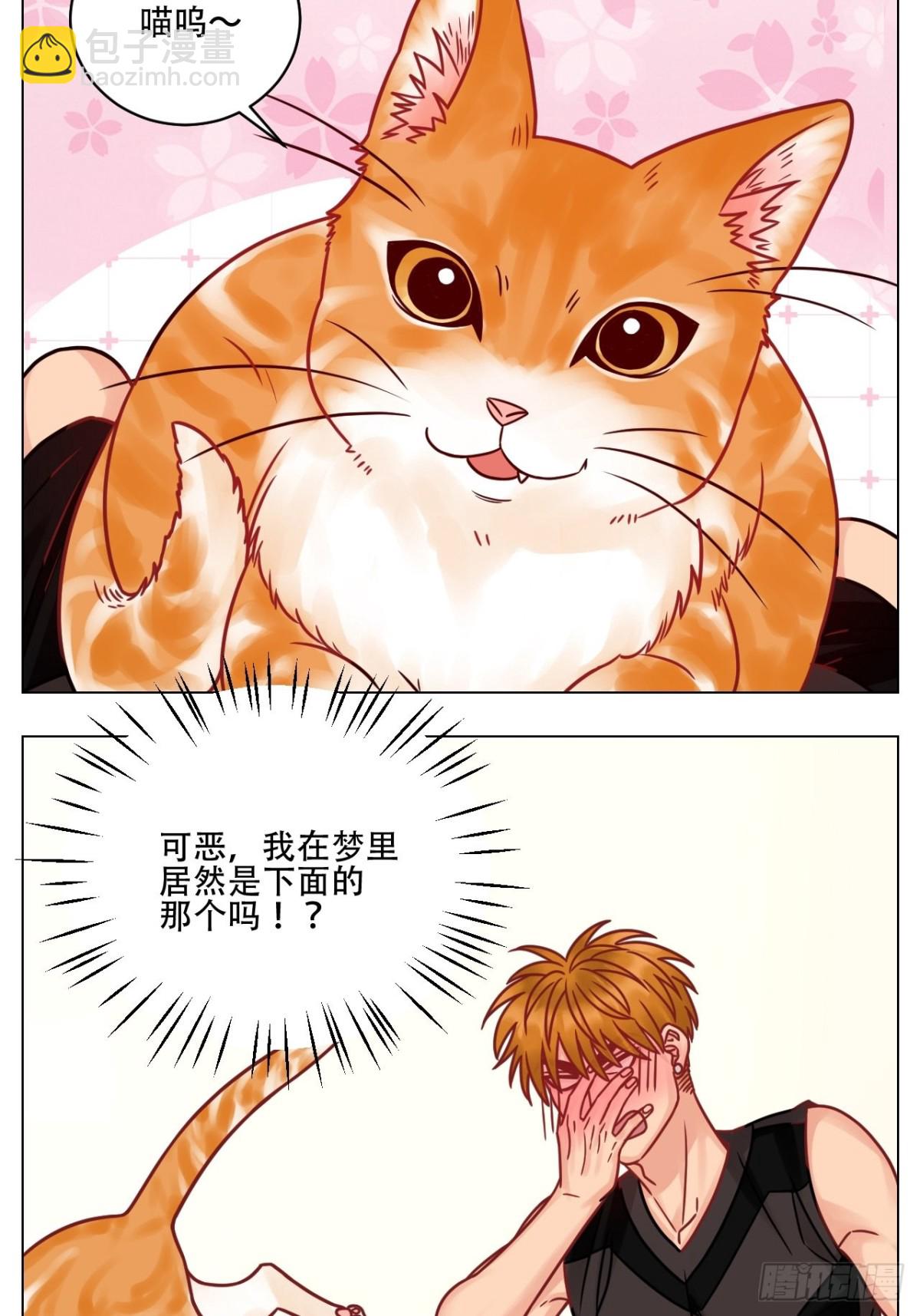 阿晏的属性又增加了！14