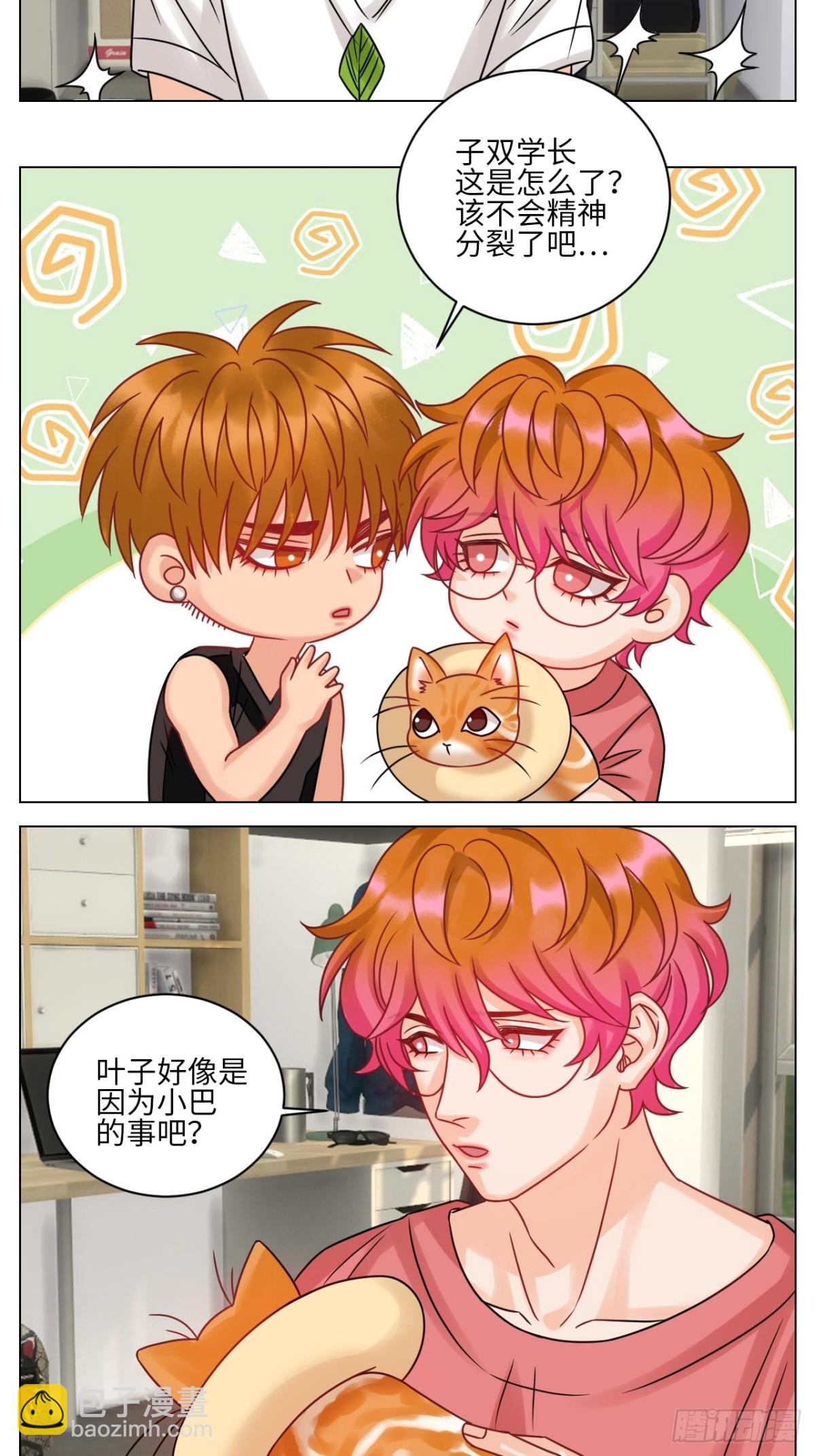 狮子到底是哪边呀？2