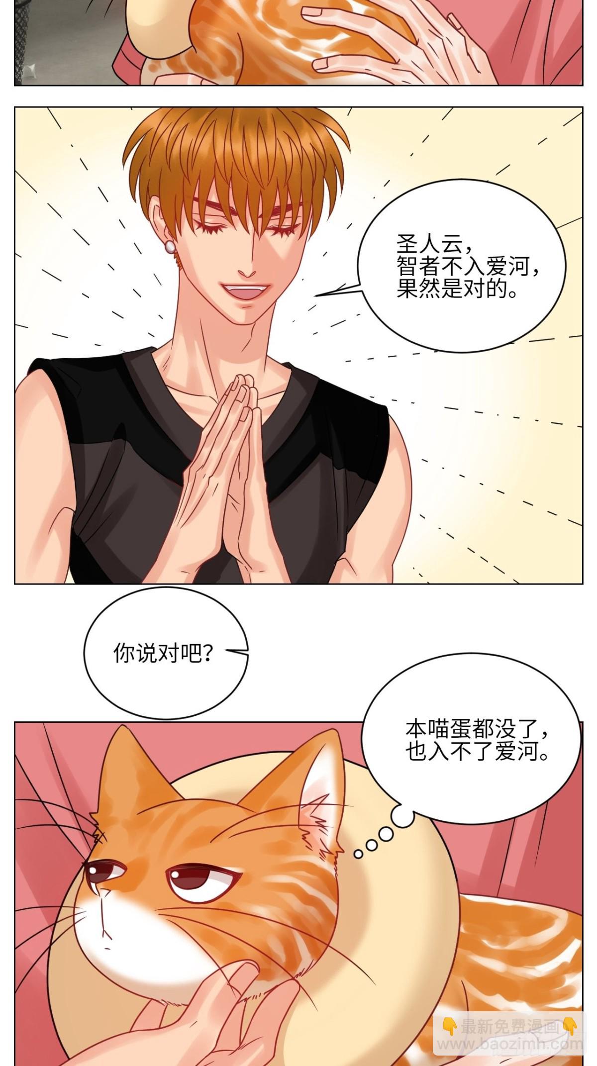 狮子到底是哪边呀？3