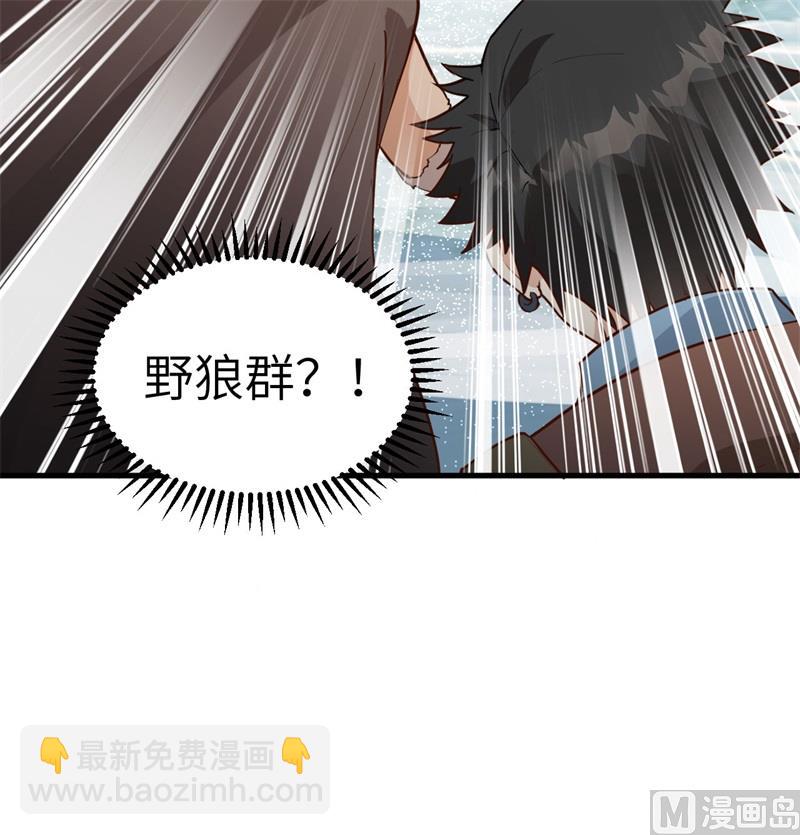 114 再见狼群46