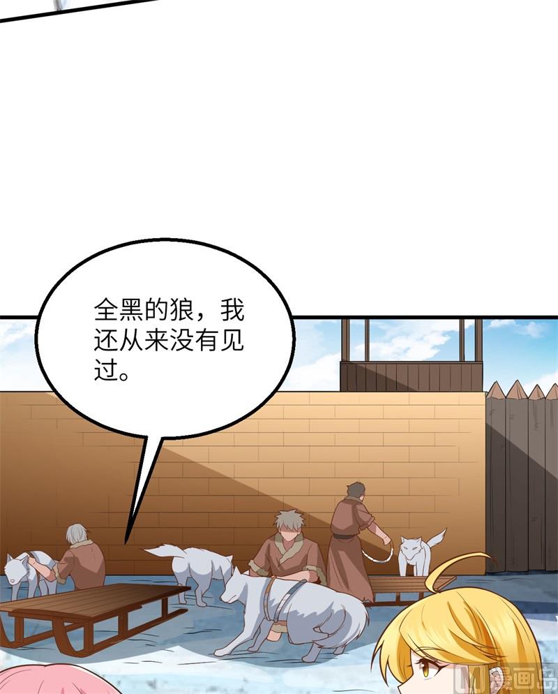 123 狼王危机37