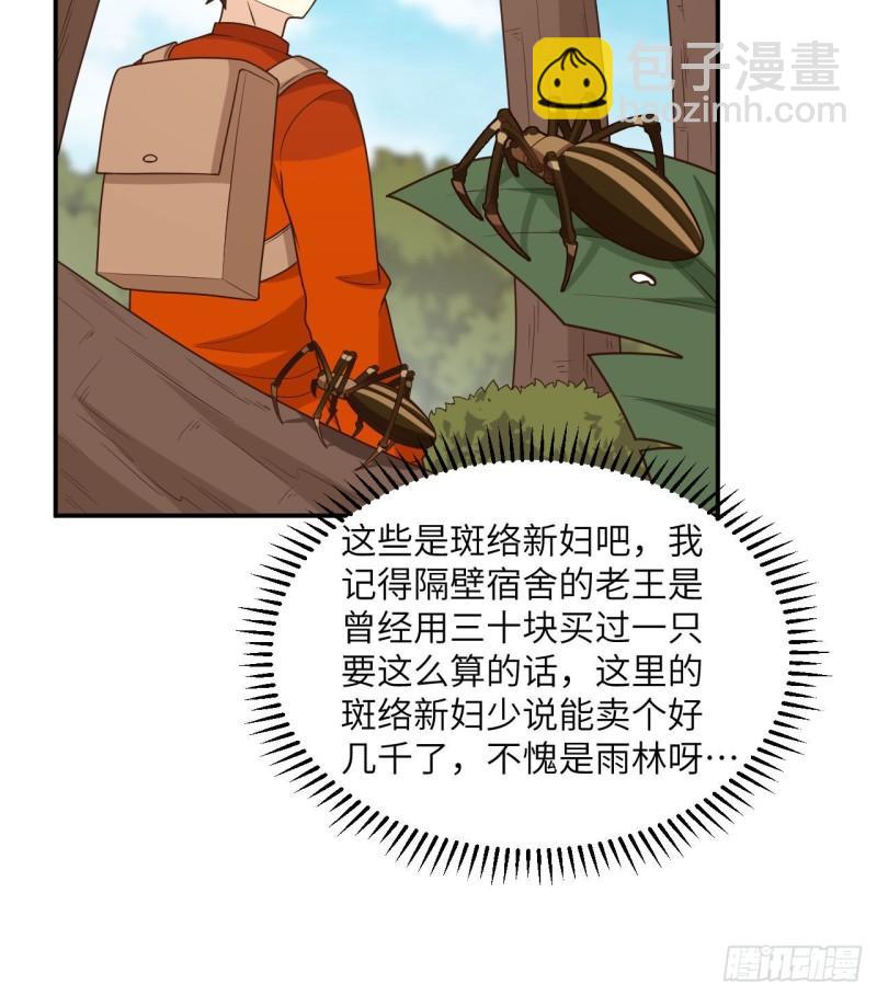 159 能吃的树40