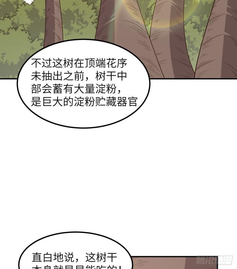 159 能吃的树47