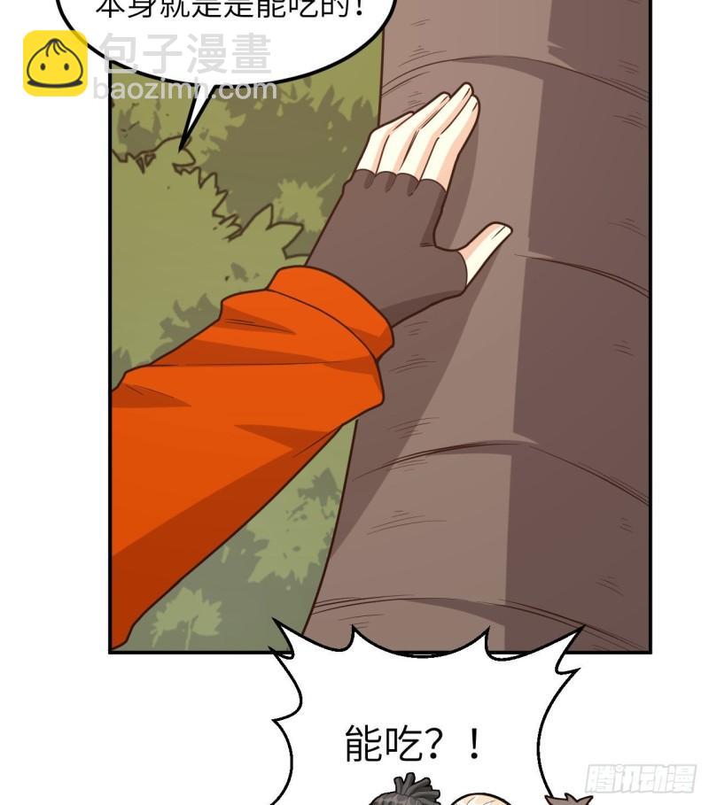 159 能吃的树48