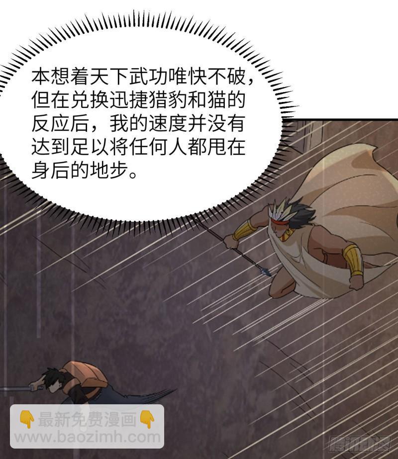208 高速公路10