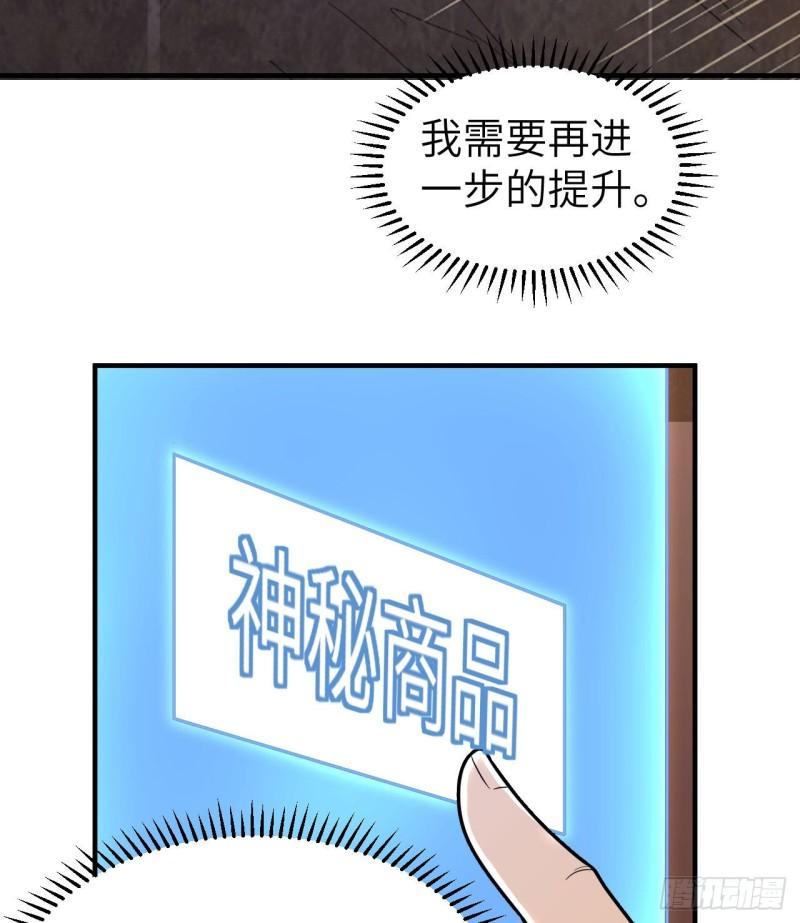208 高速公路11