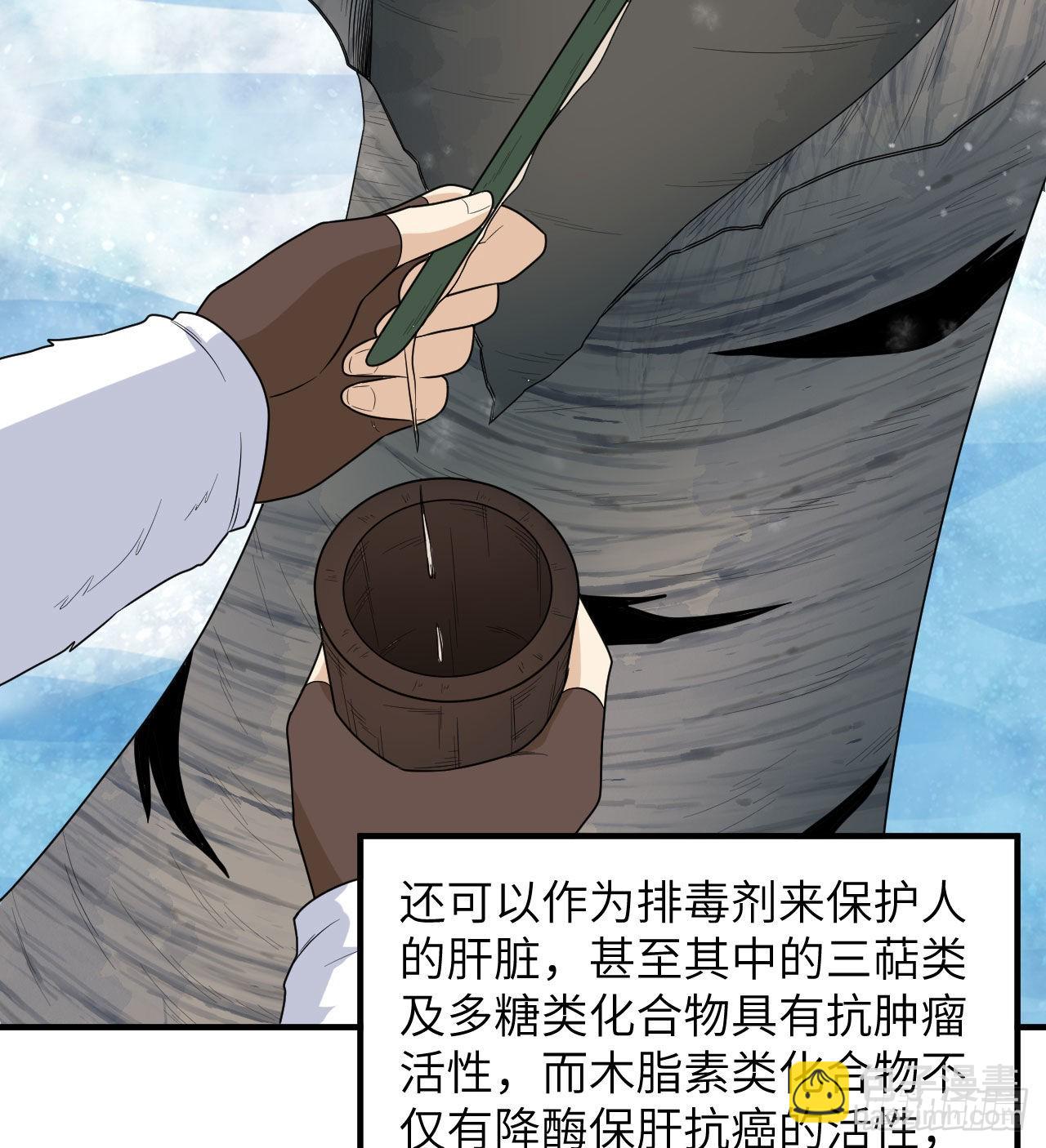 223 出发前的准备33