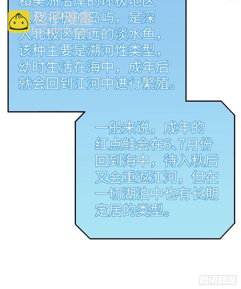 229 驯鹿踪迹12