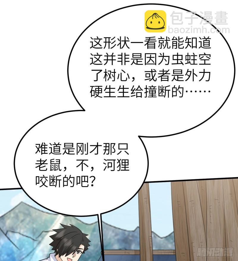 229 驯鹿踪迹33