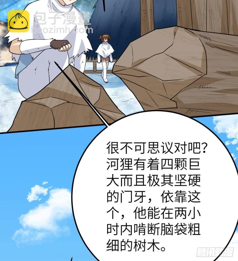 229 驯鹿踪迹34