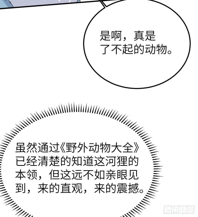 229 驯鹿踪迹40