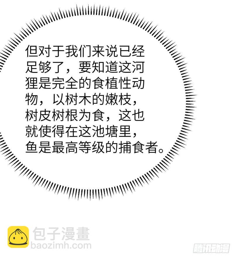 229 驯鹿踪迹42