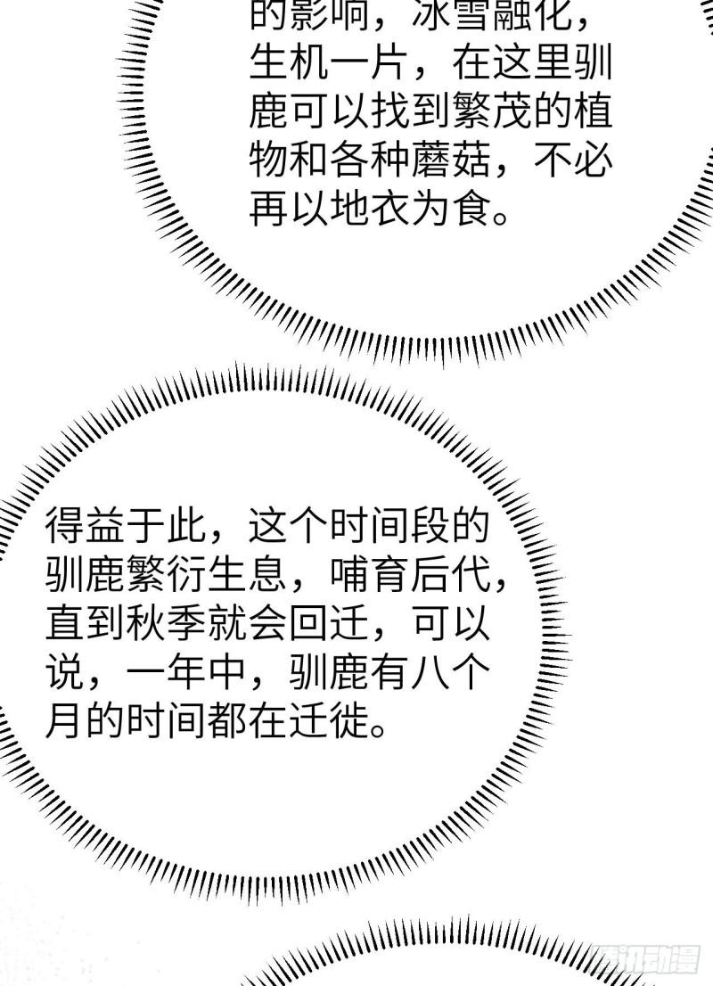 229 驯鹿踪迹88