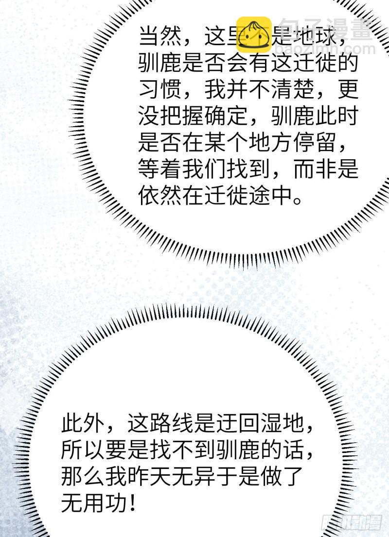 229 驯鹿踪迹89