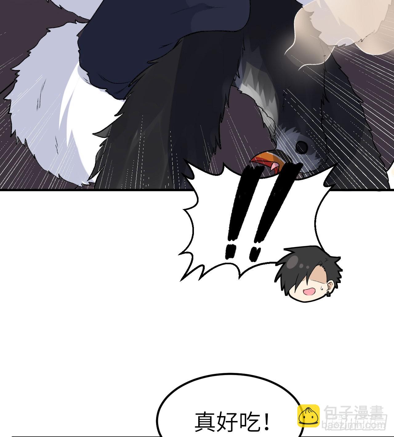246 企鹅6