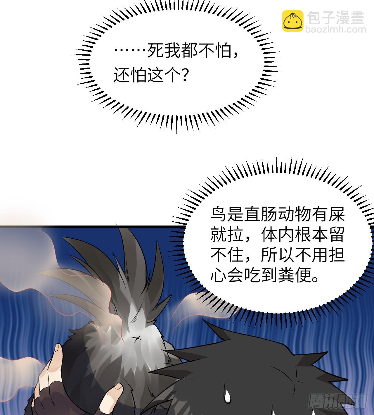 246 企鹅9