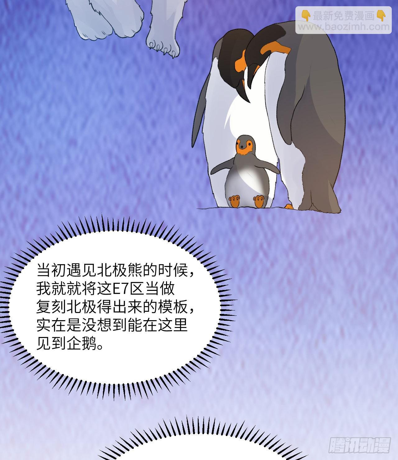 247 临时计划3