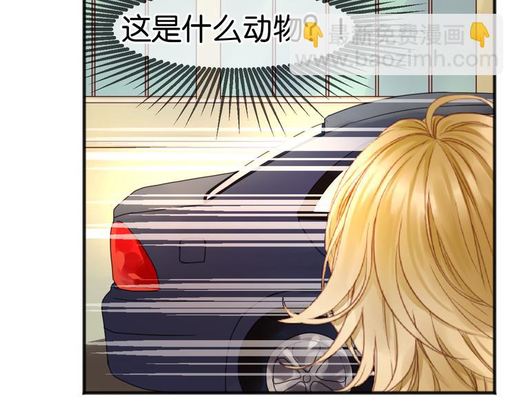 第1＋2话 捡到一只很萌的狐狸？59