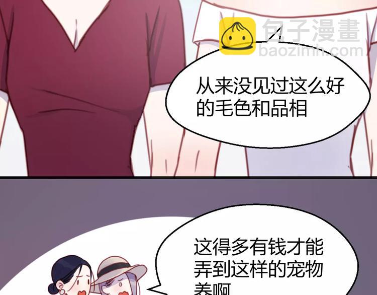 番外：最宠爱宠物的人12