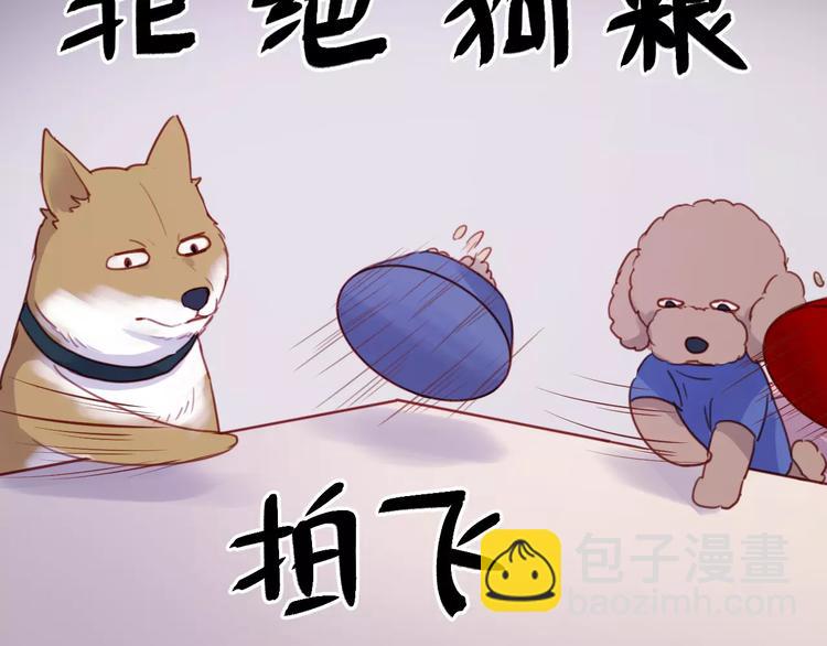 番外：最宠爱宠物的人27