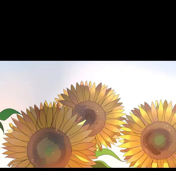 5462