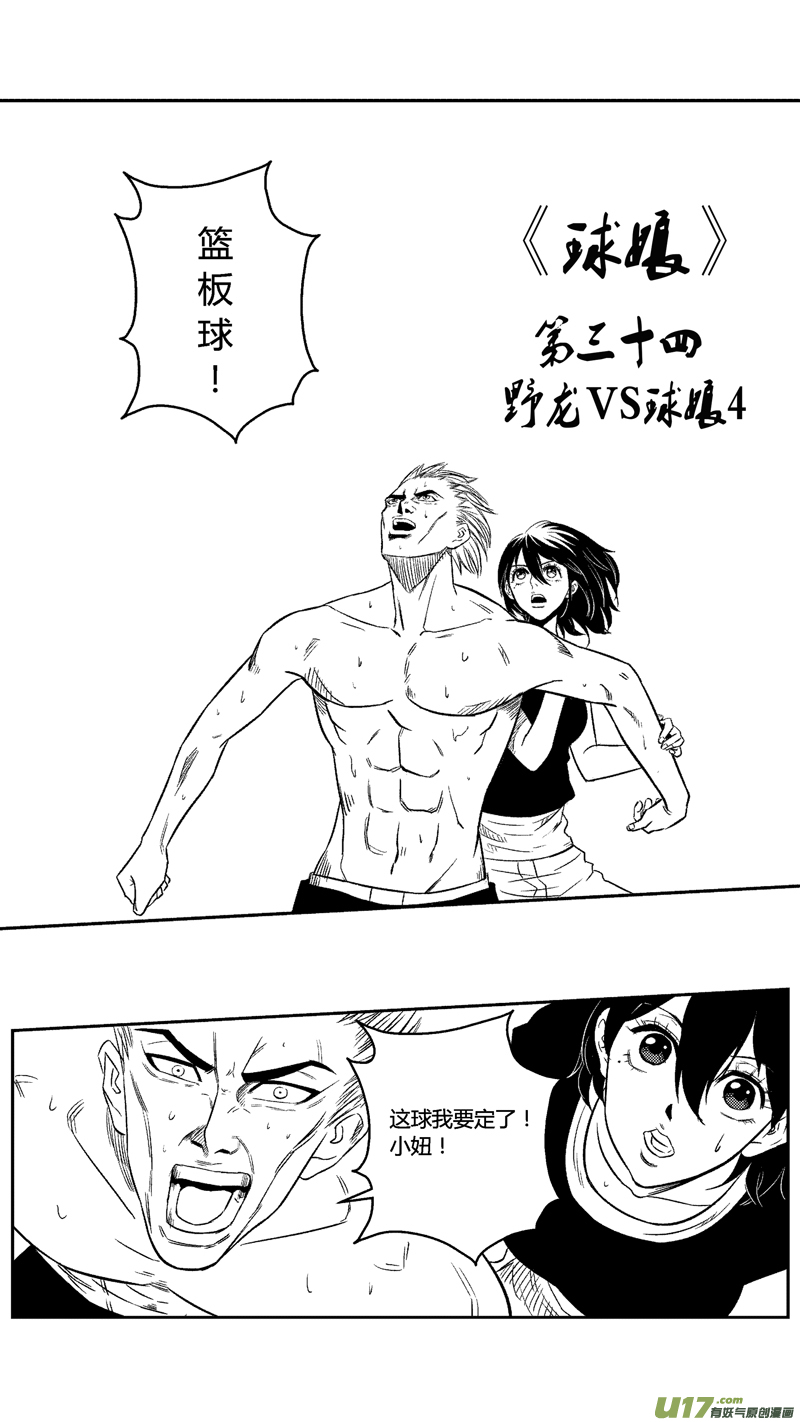 三十四.球娘VS野龙40