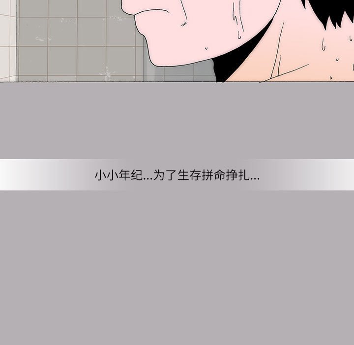 4067
