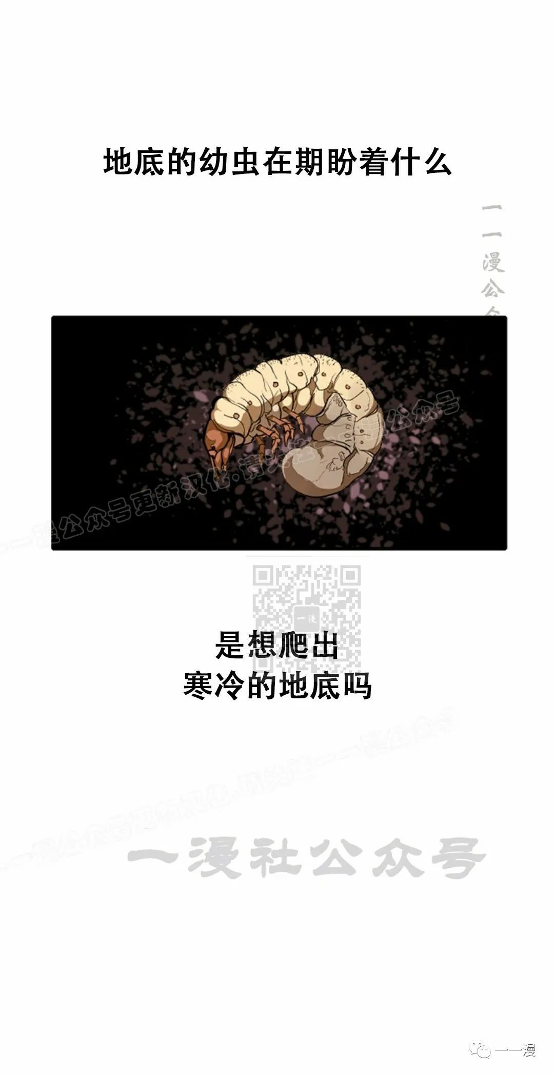 第40话24