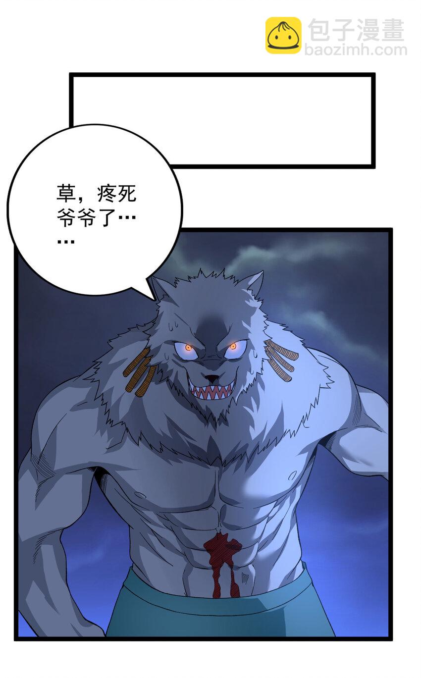 37 狼人26