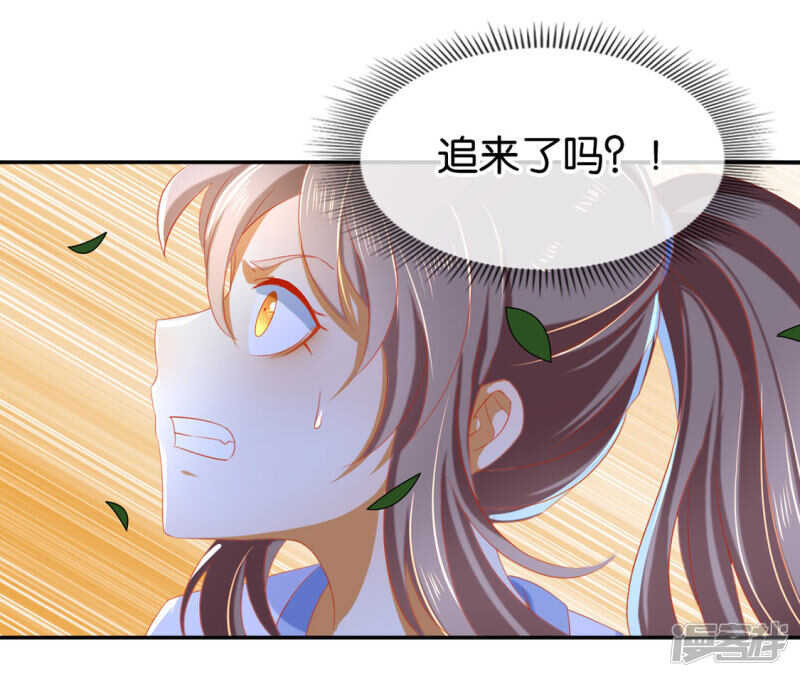 第44话 打不死的小强5