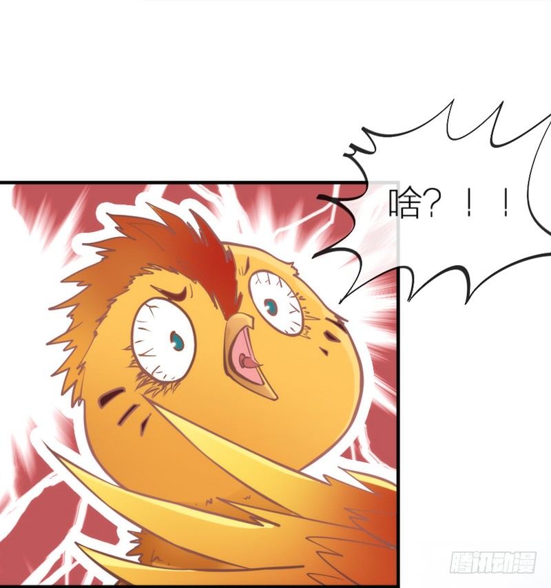 端午番外：吃货の选择！53