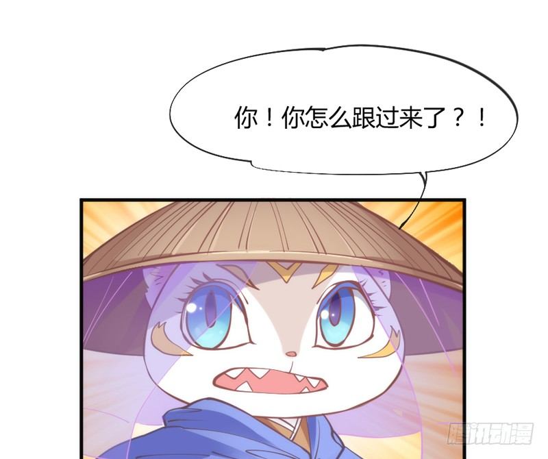 这可是我的喵！1