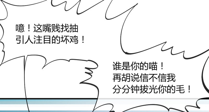 这可是我的喵！10