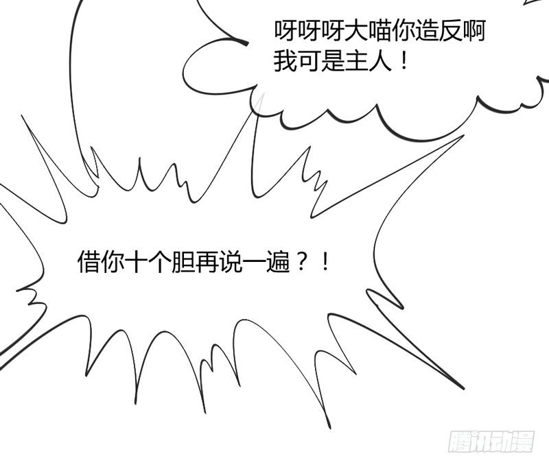 这可是我的喵！12
